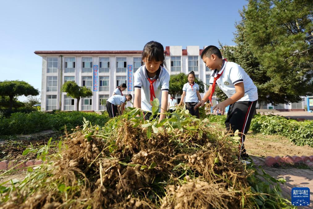 游戏下载软件免费